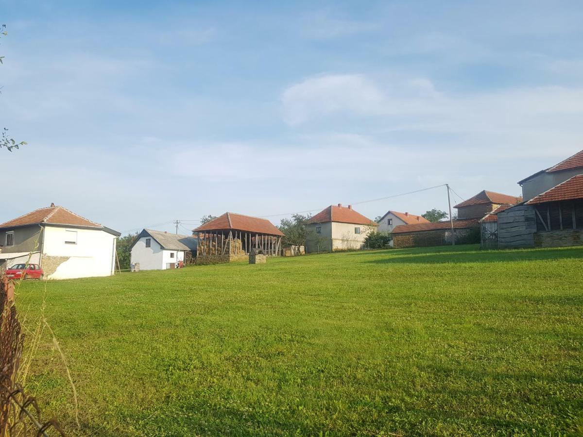 Green Apartments Kursumlija Екстер'єр фото