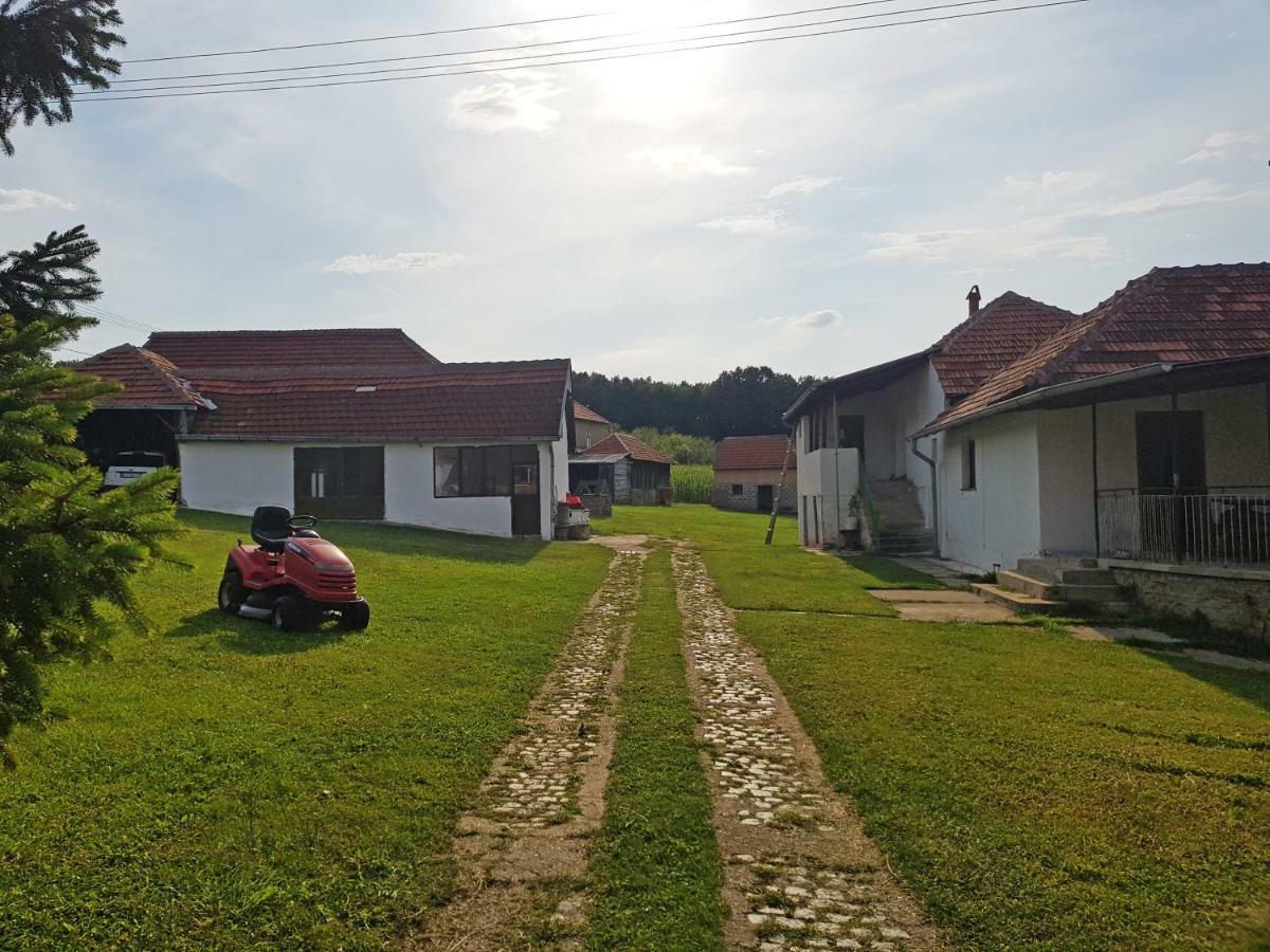 Green Apartments Kursumlija Екстер'єр фото