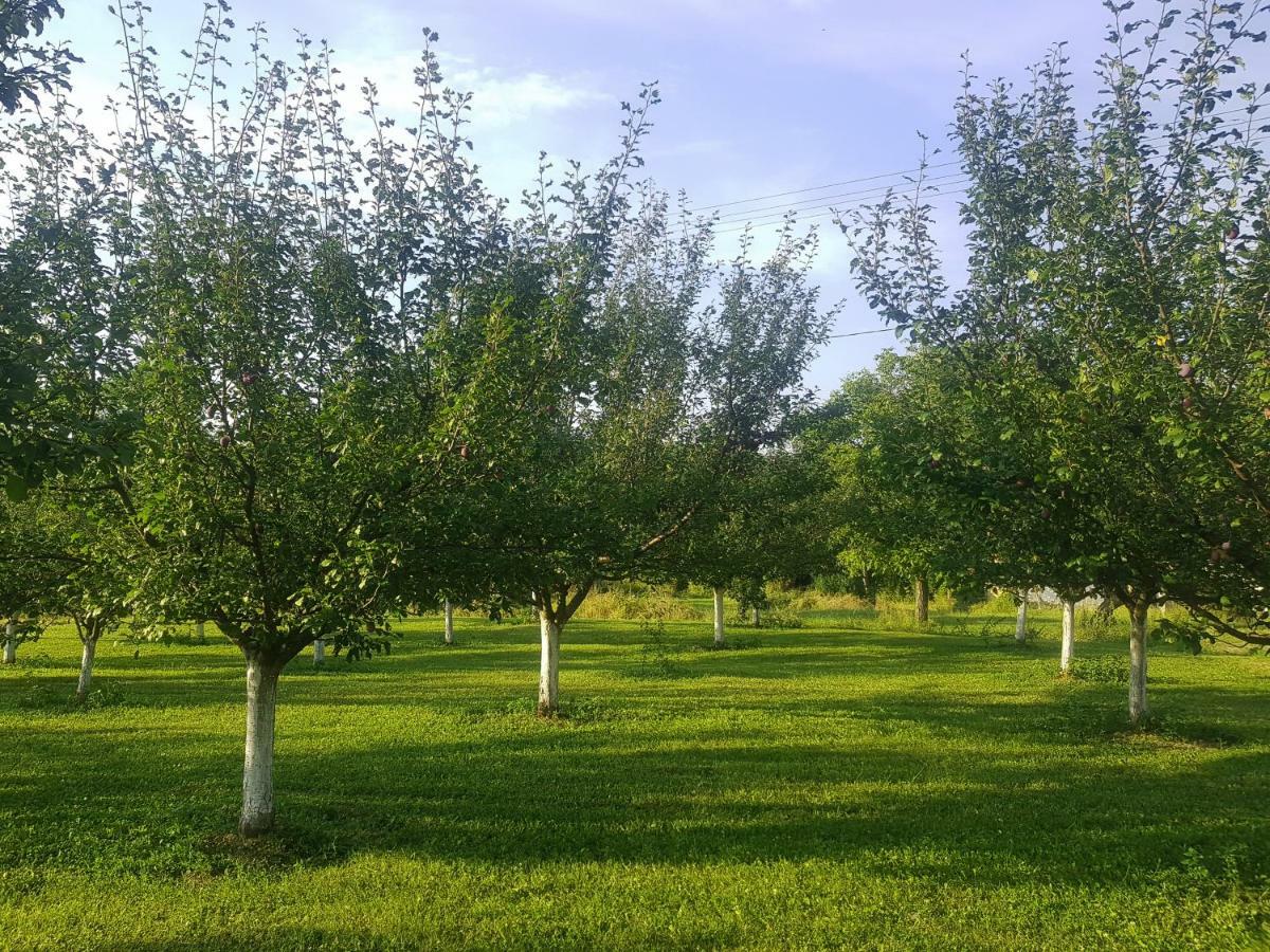 Green Apartments Kursumlija Екстер'єр фото