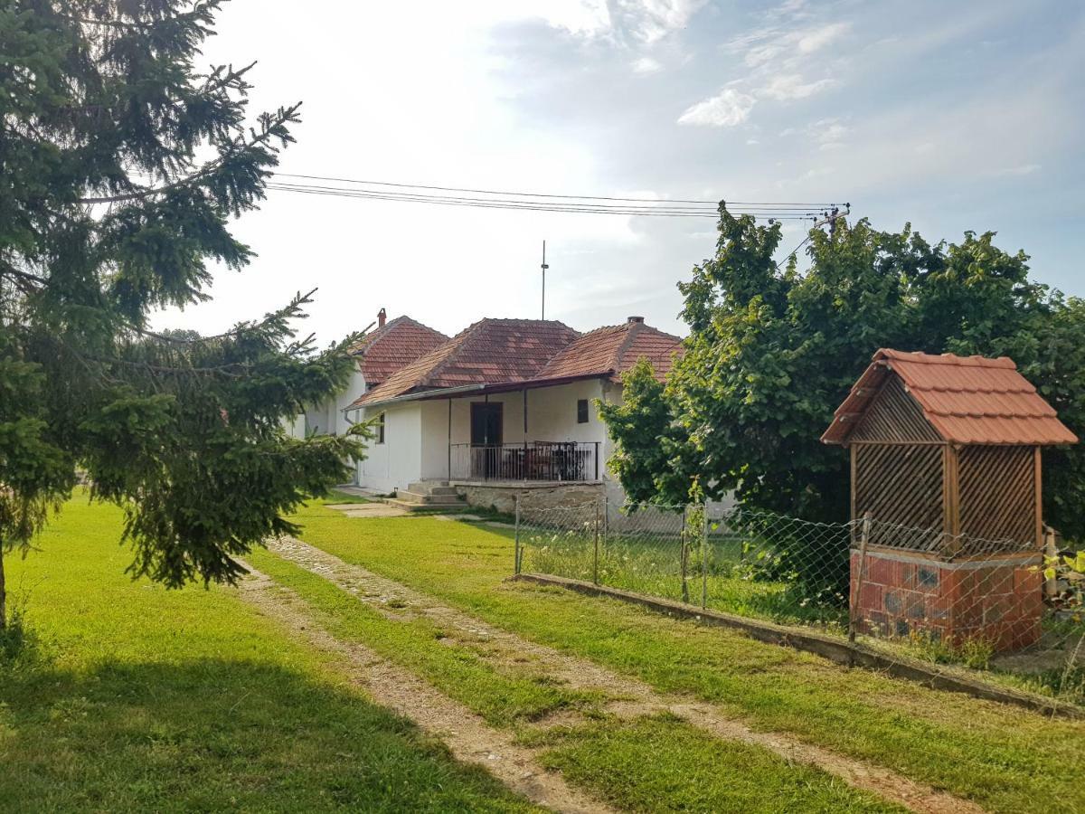 Green Apartments Kursumlija Екстер'єр фото